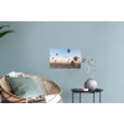Luchtballonnen - Rotsen - Zonsopgang Muursticker klein -plant