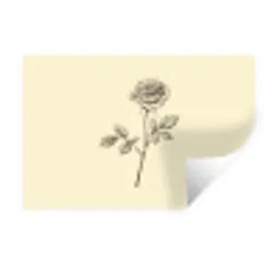 Illustratie - Zwart - Roos Muursticker klein -3d