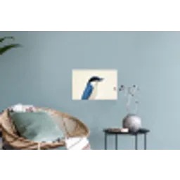 Illustratie - Blauw - Vogel Muursticker klein -plant