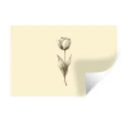Illustratie - Tulp - Zwart Muursticker klein -3d