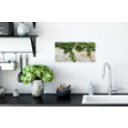 Klimop - Muur - Groen Muursticker klein -keuken