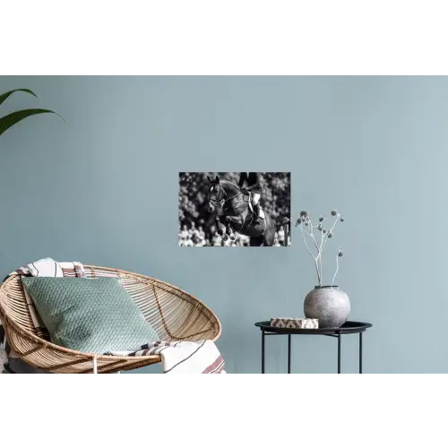 Springen - Paard - Zwart - Wit Muursticker klein -plant