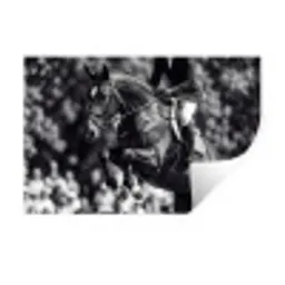Springen - Paard - Zwart - Wit Muursticker klein -3d
