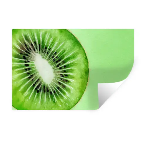 Kiwi - Groen - Fris Muursticker klein -3d