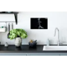Koi - Vissen - Water - Zwart Muursticker klein -keuken