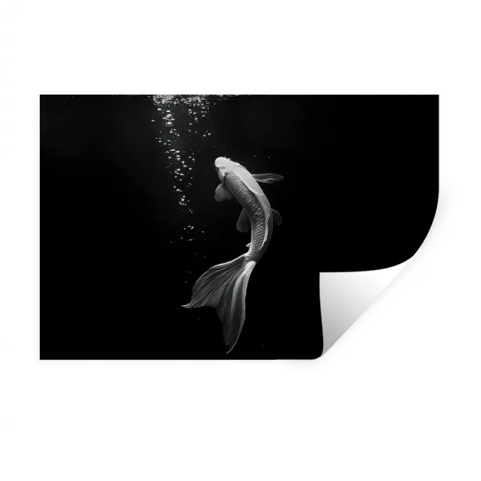 Koi - Vis - Wit - Zwart Muursticker klein -3d