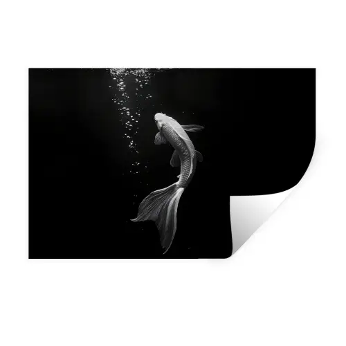 Koi - Vis - Wit - Zwart Muursticker klein -3d