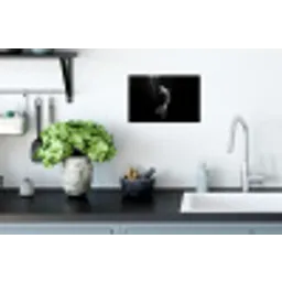Koi - Vis - Wit - Zwart Muursticker klein -keuken