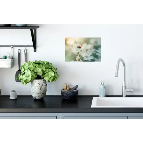 Lieveheersbeestje - Bloemen - Wit Muursticker klein -keuken