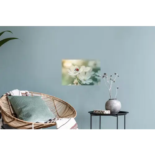 Lieveheersbeestje - Bloemen - Wit Muursticker klein -plant