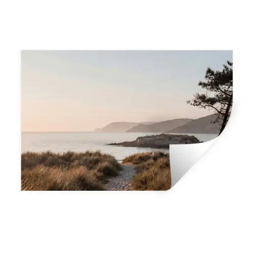 Landschap - Kust - Duinen Muursticker klein -3d