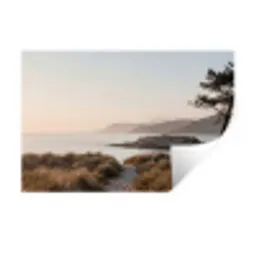 Landschap - Kust - Duinen Muursticker klein -3d