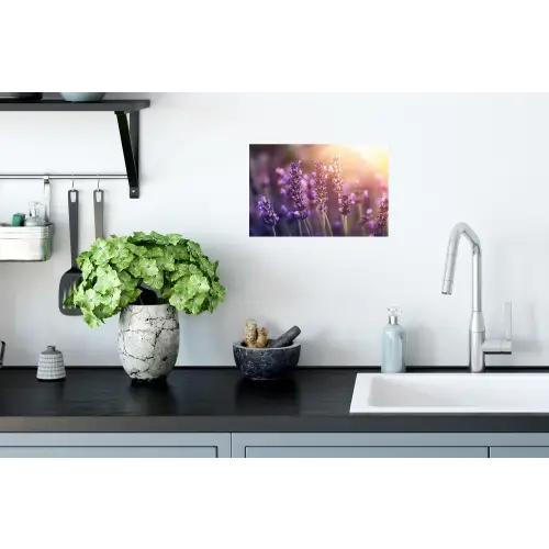 Lavendelbloemen - Paars - Zonlicht Muursticker klein -keuken