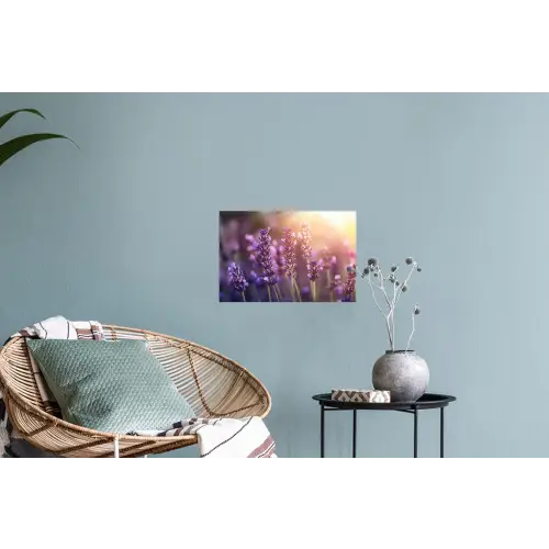 Lavendelbloemen - Paars - Zonlicht Muursticker klein -plant