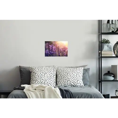 Lavendelbloemen - Paars - Zonlicht Muursticker klein -slaapkamer