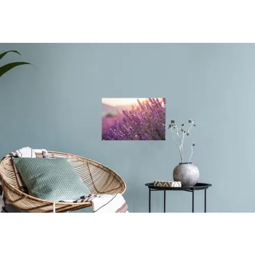 Lavendel - Paars - Zonlicht Muursticker klein -plant