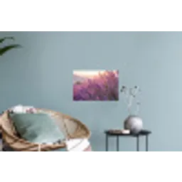 Lavendel - Paars - Zonlicht Muursticker klein -plant