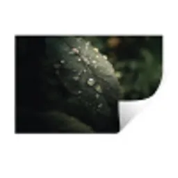 Blad - Groen - Nerven - Regendruppels Muursticker klein -3d