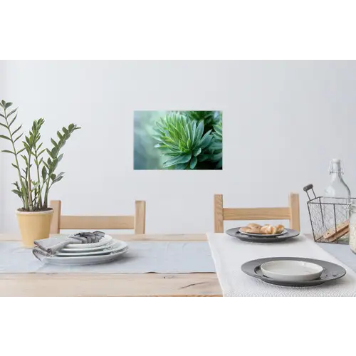 Blad - Plant - Groen - Textuur Muursticker klein -eettafel
