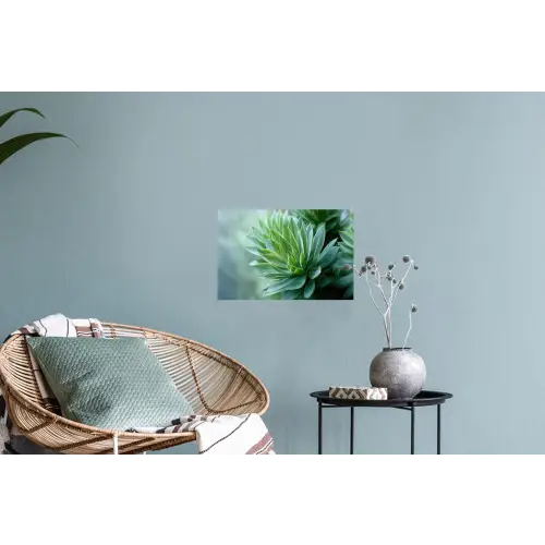 Blad - Plant - Groen - Textuur Muursticker klein -plant