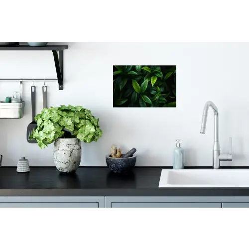 Bladeren - Regendruppels - Licht - Groen Muursticker klein -keuken