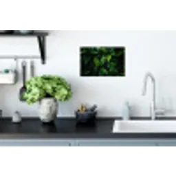 Bladeren - Regendruppels - Licht - Groen Muursticker klein -keuken