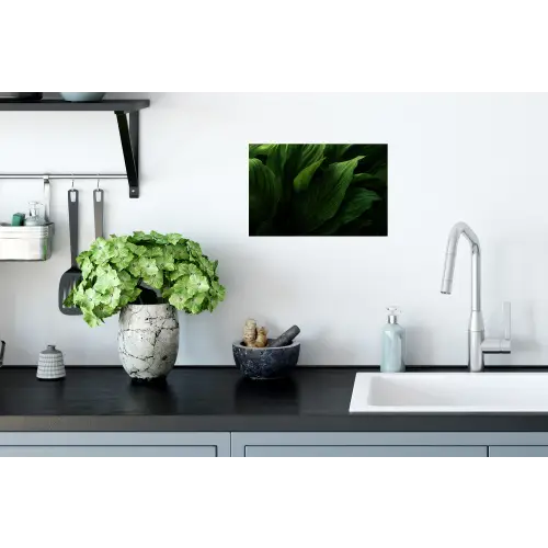 Bladeren - Schaduw - Groen - Textuur Muursticker klein -keuken