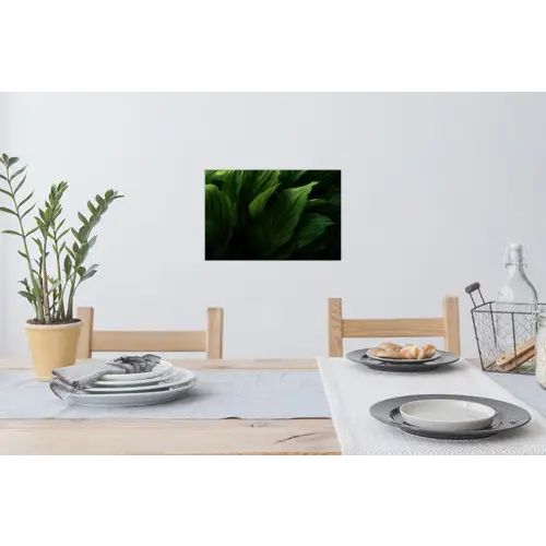 Bladeren - Schaduw - Groen - Textuur Muursticker klein -eettafel
