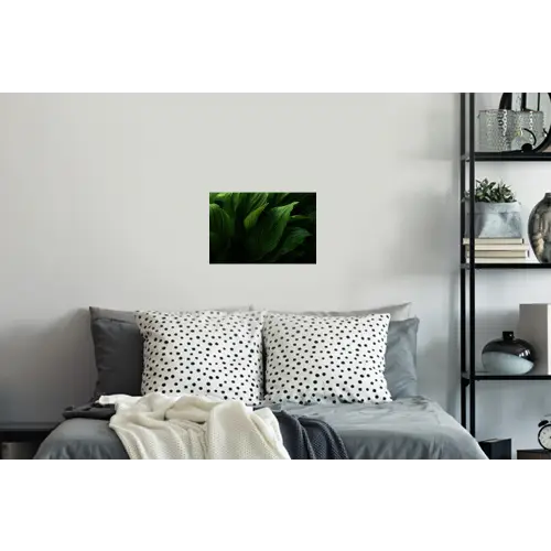 Bladeren - Schaduw - Groen - Textuur Muursticker klein -slaapkamer