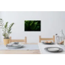 Bladeren - Schaduw - Groen - Textuur Muursticker klein -eettafel