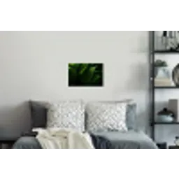 Bladeren - Schaduw - Groen - Textuur Muursticker klein -slaapkamer