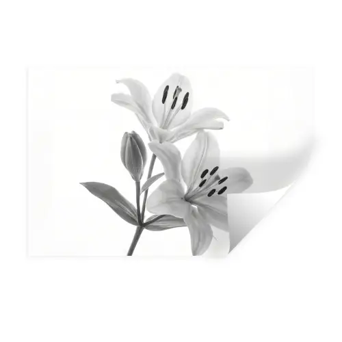 Lelies - Elegant - Zwart - Wit Muursticker klein -3d