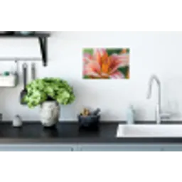 Lelie - Close up - Lichtroze Muursticker klein -keuken