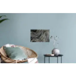 Lijnen - Patroon - Abstract - Wit Muursticker klein -plant