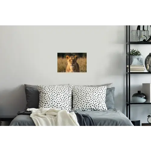 Leeuwin - Gras - Geel Muursticker klein -slaapkamer