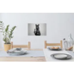 Lama - Flessen - Zwart - Wit Muursticker klein -eettafel