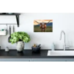 Longhorn - Landschap - Zonsondergang Muursticker klein -keuken