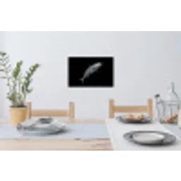 Makreel - Vis - Zwart Muursticker klein -eettafel
