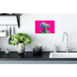 Man - Pak - Wolk - Roze Muursticker klein -keuken