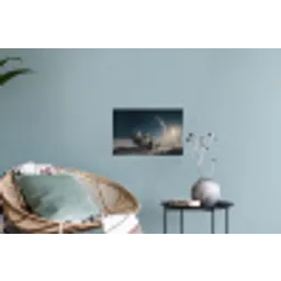 Maan - Kat - Astronaut - Ruimte Muursticker klein -plant