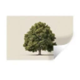Eikenboom - Groen - Lichte achtergrond Muursticker klein -3d
