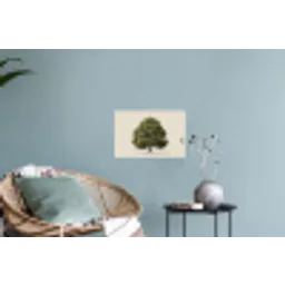 Eikenboom - Groen - Lichte achtergrond Muursticker klein -plant
