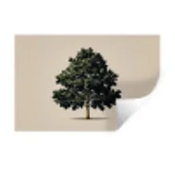 Eikenboom - Schaduw - Egaal Muursticker klein -3d