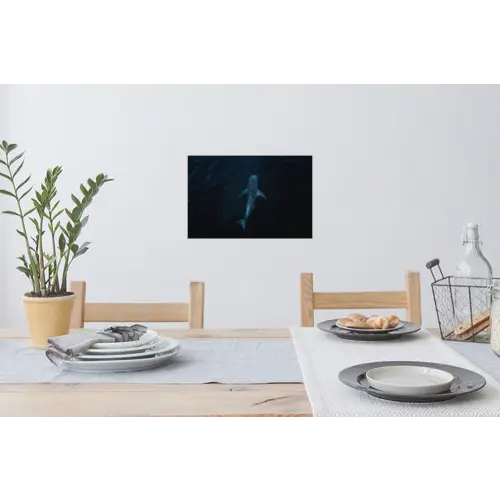 Oceaan - Walvishaai - Donkerblauw - Vlekken Muursticker klein -eettafel