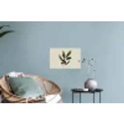 Olijftak - Donkergroen - Olijven Muursticker klein -plant