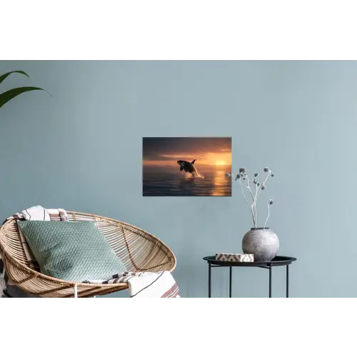 Orka - Zee - Zonsondergang Muursticker klein -plant