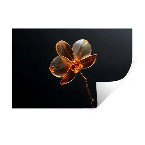 Orchidee - Doorzichtig - Bloem Muursticker klein -3d