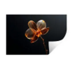 Orchidee - Doorzichtig - Bloem Muursticker klein -3d