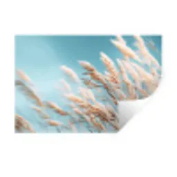 Siergras - Wind - Lichtbruin Muursticker klein -3d