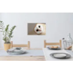 Uil - Bruin - Wit Muursticker klein -eettafel